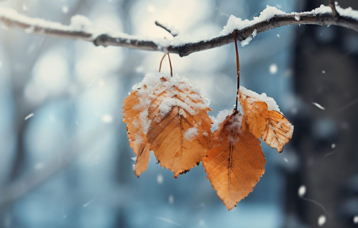 В Україні різко зміниться погода: прогноз на 28 грудня